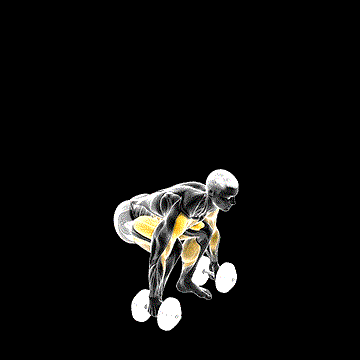 Dumbbell Power Clean demonstration