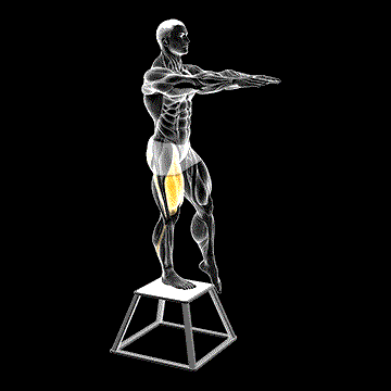 Elevated One-Leg Squat demonstration