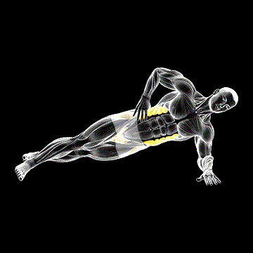 Staggered Leg Side Bridge demonstration