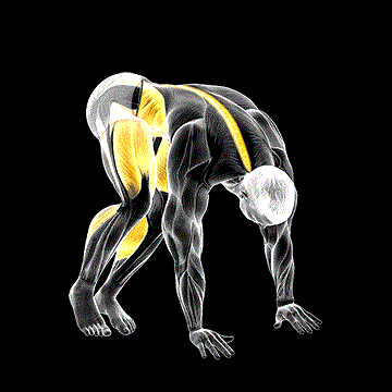 Kick Side Jump demonstration