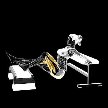 Elevated One-Leg Hip Thrust demonstration