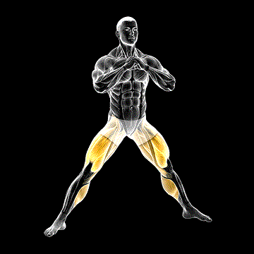 Side-to-Wide Squat demonstration