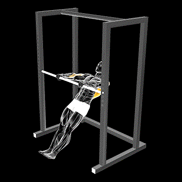 High Bar Inverted Row demonstration