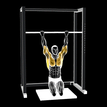 Kneeling Assisted Sliding Chin-up demonstration