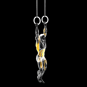 Leg-Assisted Ring Pull-up demonstration