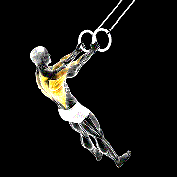 Ring High Row demonstration