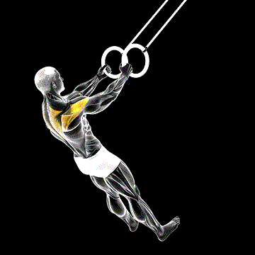 Ring Reverse Fly demonstration