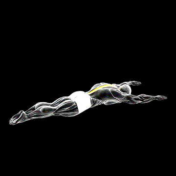 Long Lever Lying Back Extension demonstration