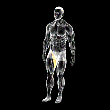 Standing Leg Circle demonstration