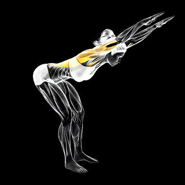 Stationary Arms Throw demonstration