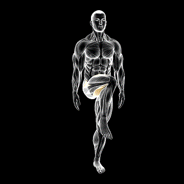 Standing Bent-Knee Figure 8 demonstration