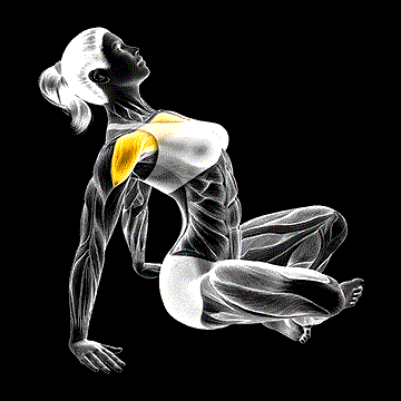 Seated Sky Look demonstration
