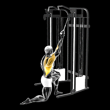 Cable Kneeling One-Arm Lat Pulldown demonstration