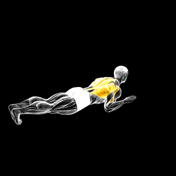 Lying Lat Pulldown demonstration