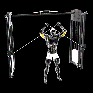 Cable High Triceps Extension demonstration