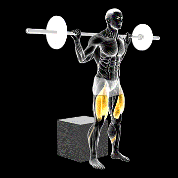Barbell Box Squat demonstration