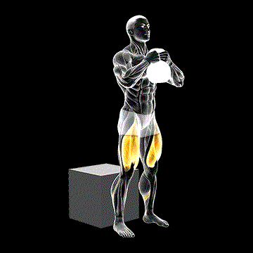 Kettlebell Box Squat demonstration
