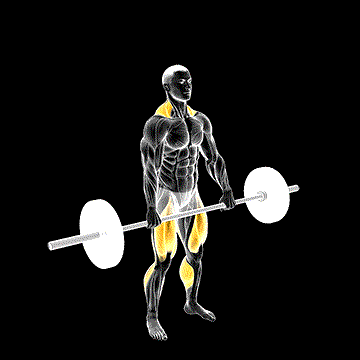 Jump Shrug demonstration