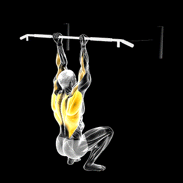 Assisted Chin-up (Squat Position) demonstration