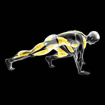 Mountain Climber Jump demonstration
