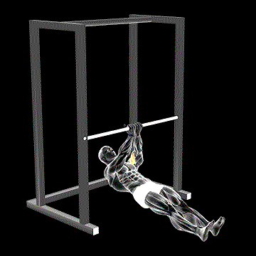 Bar Close-Grip Bicep Curl demonstration