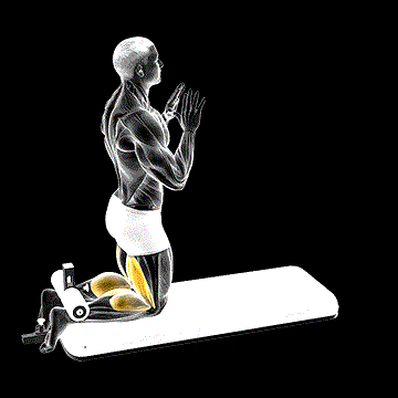 Inverse Leg Curl (w/ Bench Pads) demonstration