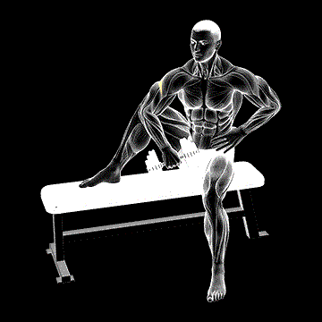 Dumbbell Seated External Shoulder Rotation demonstration