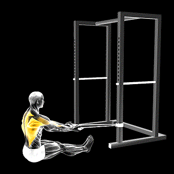 Band Seated Underhand Grip Row demonstration