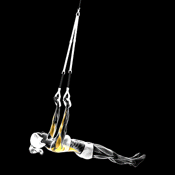 Suspension Underhand-Grip Inverted Row demonstration