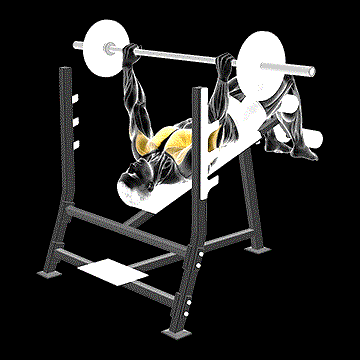 Barbell Pause Decline Bench Press demonstration