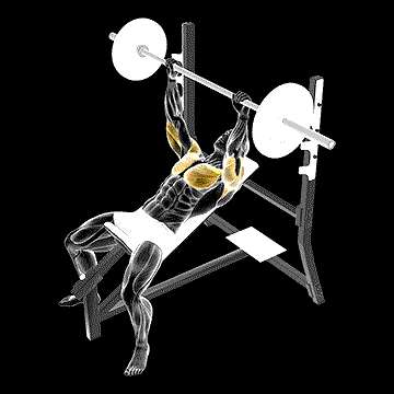 Barbell Pause Incline Bench Press demonstration