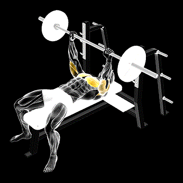Barbell Pause Bench Press demonstration