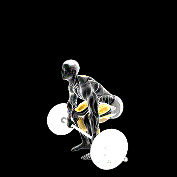 Barbell Pause Deadlift demonstration
