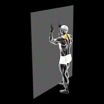Serratus Wall Slide demonstration