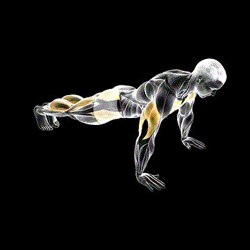 Push-up Jack demonstration