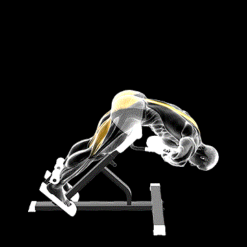Weighted Hyperextension demonstration
