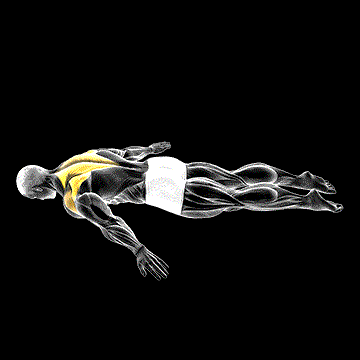 Lying Prone A demonstration