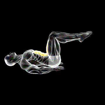 Lying Alternate Toe Touch demonstration