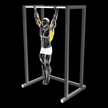 Dead Hang Stretch demonstration
