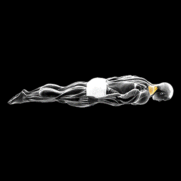 Prone Cervical Extension demonstration