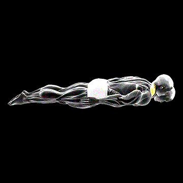 Prone Cervical Extension Isometric Hold demonstration