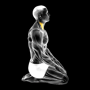 Seated Chin Tuck demonstration