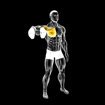 Dumbbell Shoulder Internal Rotation at 90 Abduction demonstration