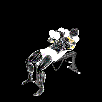 Dumbbell Incline Squeeze Press demonstration