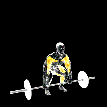 Barbell Muscle Clean demonstration