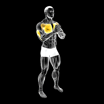 Bodyweight Svend Press demonstration