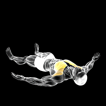 Lying Floor Fly demonstration