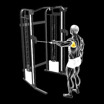 Cable Shoulder 90 Degrees External Rotation demonstration