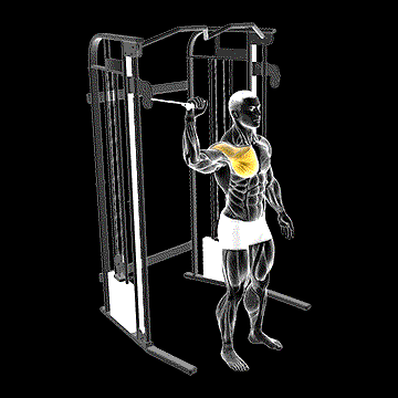 Cable Shoulder 90-Degrees Internal Rotation demonstration