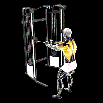 Cable Standing Row demonstration